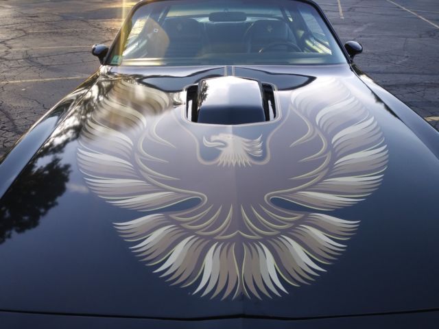 1979 Pontiac Firebird SPECIAL EDITON - photo 3