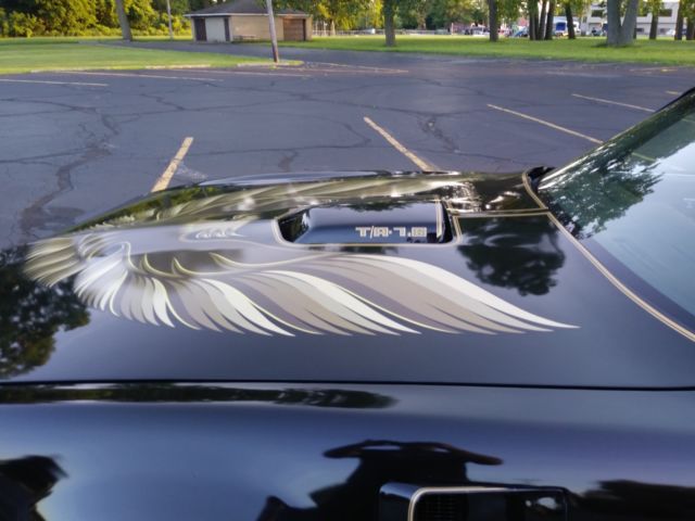 1979 Pontiac Firebird SPECIAL EDITON - photo 5