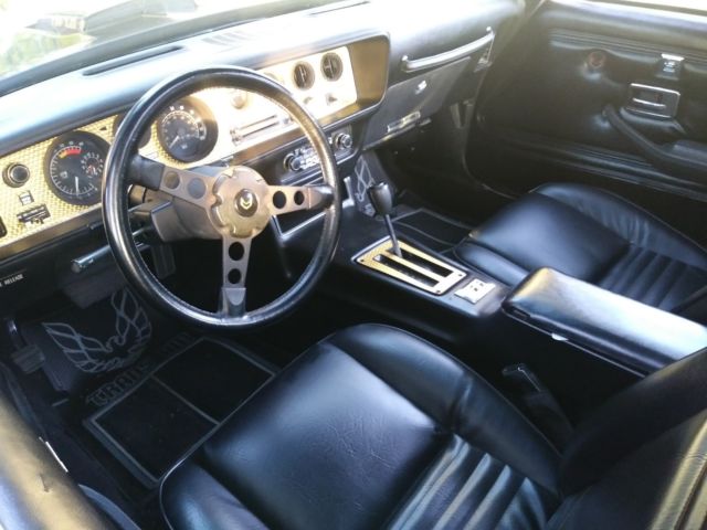 1979 Pontiac Firebird SPECIAL EDITON - photo 9