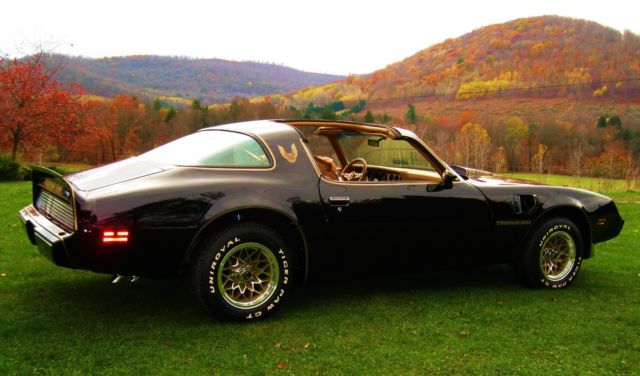 1979 Pontiac Trans Am - photo 6