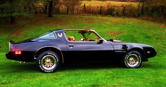 1979 Pontiac Trans Am - photo 8
