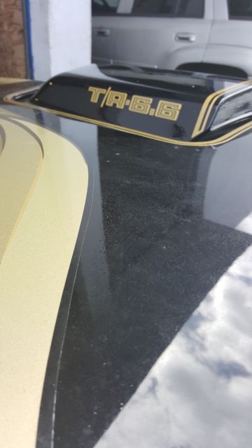 1979 Pontiac Trans Am -- - photo 10