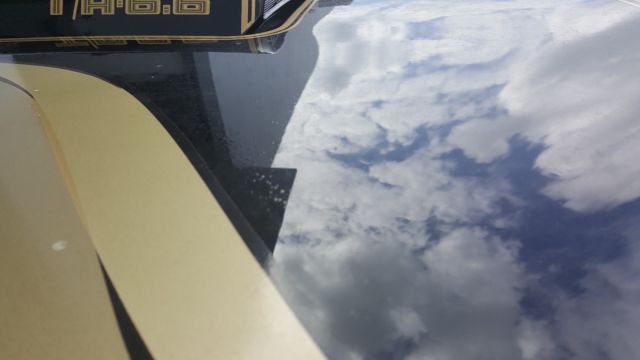 1979 Pontiac Trans Am -- - photo 12