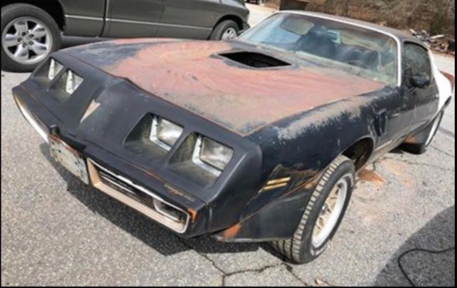 1979 Pontiac Trans Am Y84 Special Edition