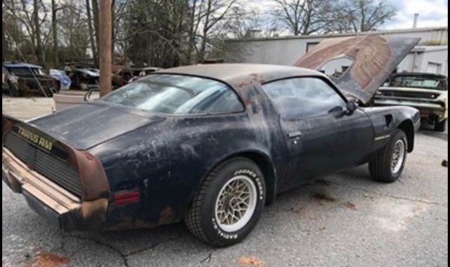 1979 Pontiac Trans Am Y84 Special Edition - photo 2