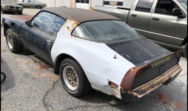 1979 Pontiac Trans Am Y84 Special Edition - photo 3