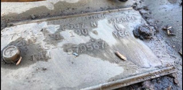 1979 Pontiac Trans Am Y84 Special Edition - photo 4