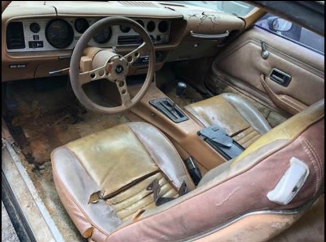 1979 Pontiac Trans Am Y84 Special Edition - photo 5