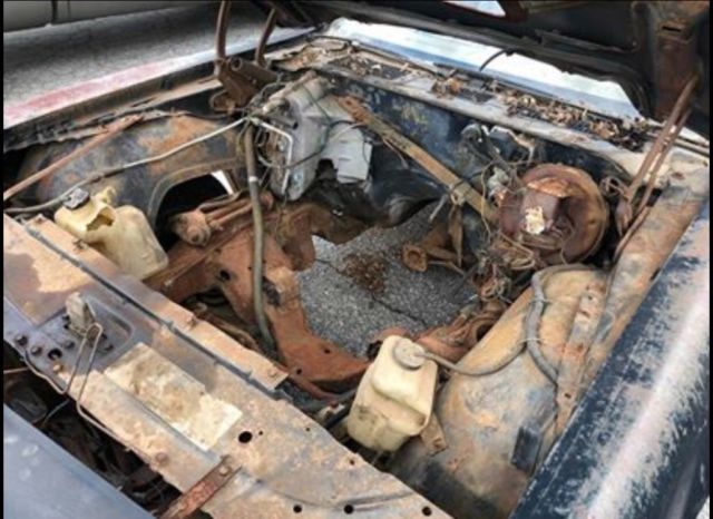 1979 Pontiac Trans Am Y84 Special Edition - photo 6