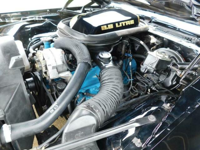 1979 Pontiac Trans Am SPECIAL EDITION - photo 7