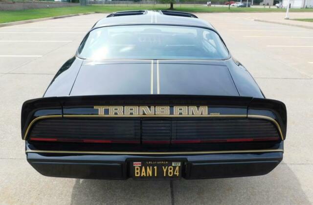 1979 Pontiac Trans Am SPECIAL EDITION - photo 9