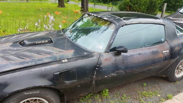 1979 Pontiac Trans Am - photo 12