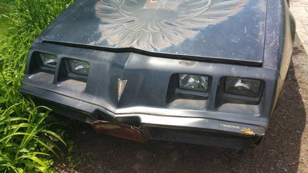 1979 Pontiac Trans Am - photo 2