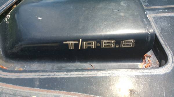 1979 Pontiac Trans Am - photo 4