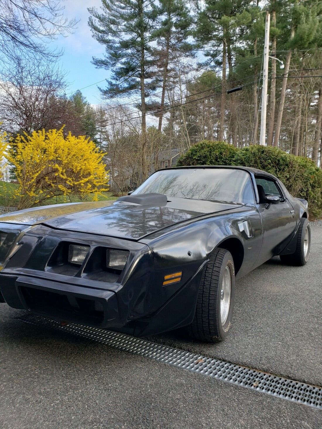 1979 Pontiac Trans Am - photo 3