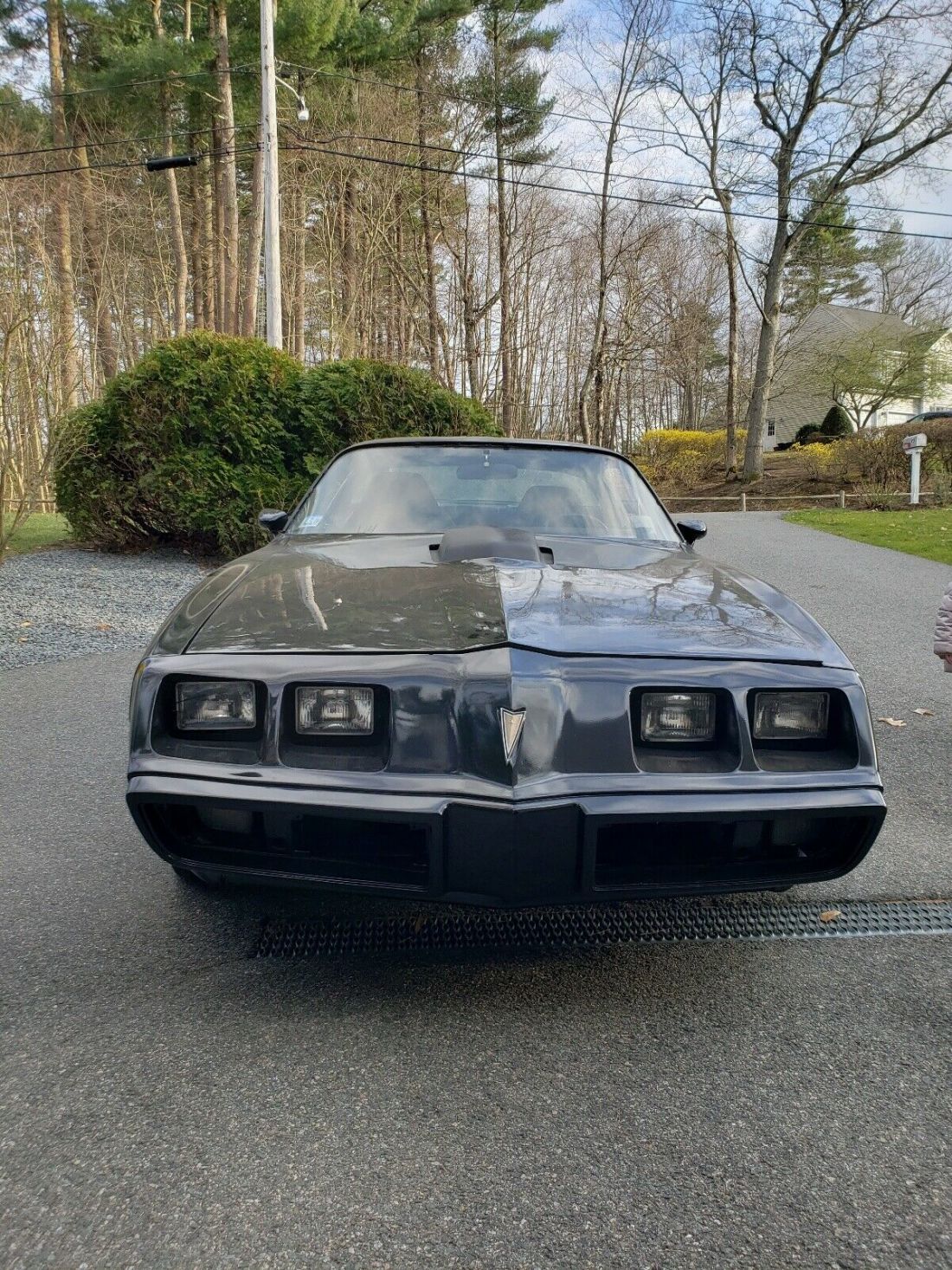 1979 Pontiac Trans Am - photo 4