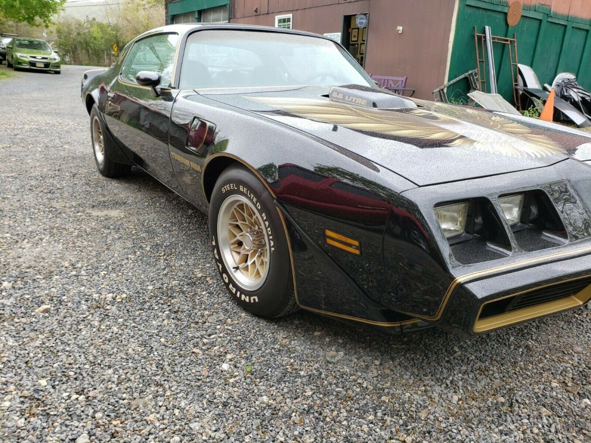 1979 Pontiac Trans Am - photo 10
