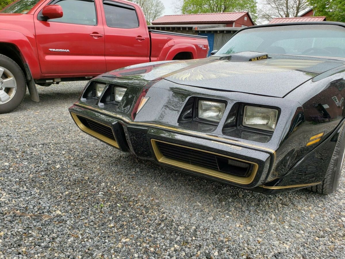 1979 Pontiac Trans Am - photo 12