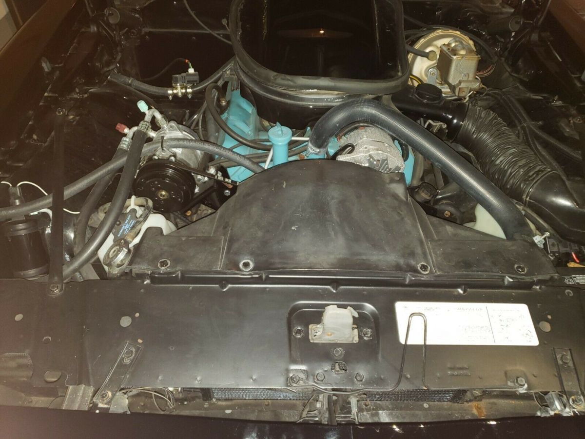 1979 Pontiac Trans Am - photo 3