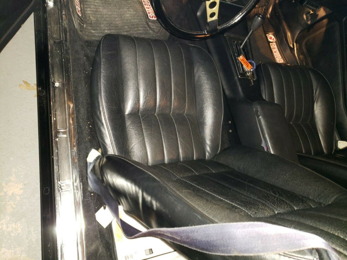 1979 Pontiac Trans Am - photo 8