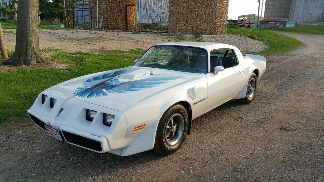 1979 Pontiac Trans Am - photo 8