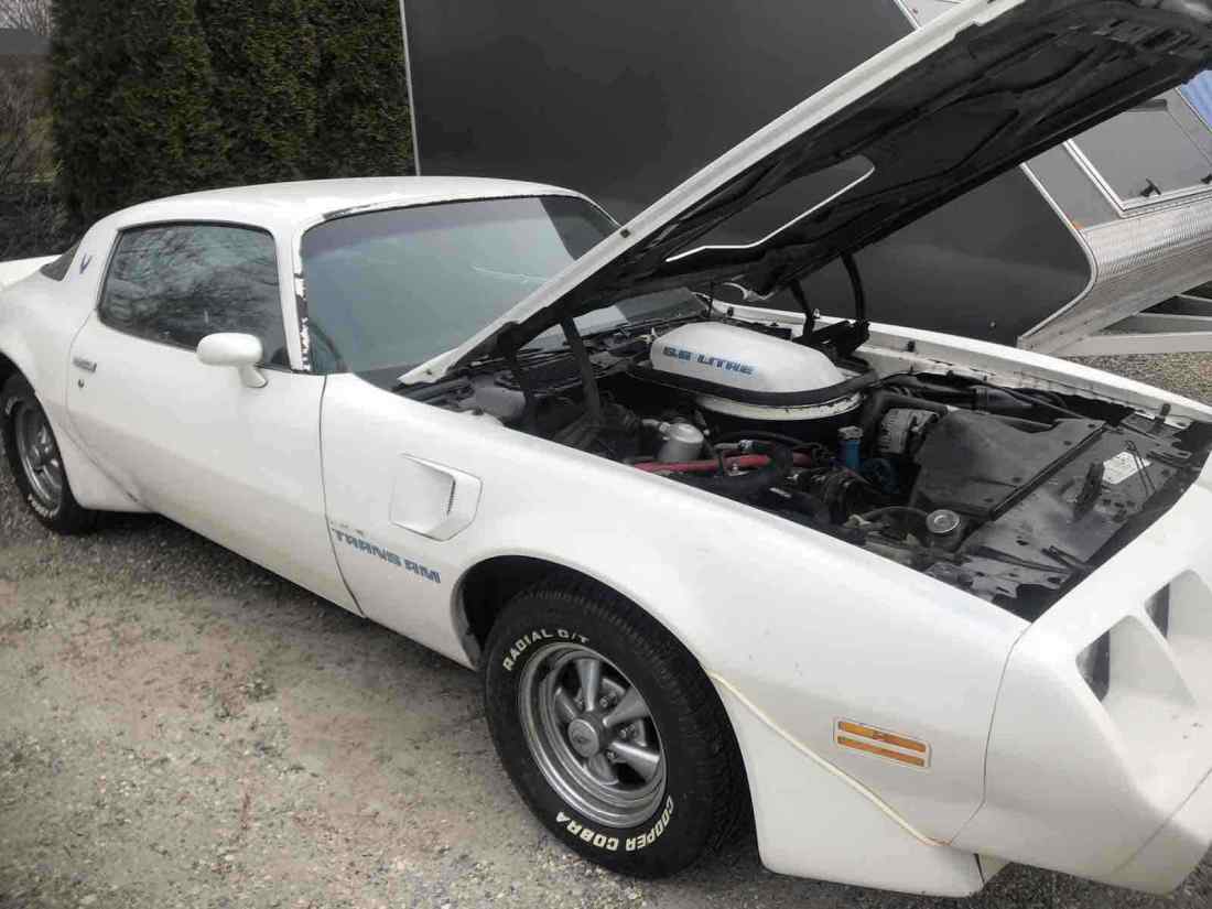 1979 Pontiac Trans Am trans am - photo 8