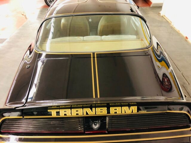 1979 Pontiac Trans Am - T TOPS WITH 5 SPEED-AFFORDABLE CLASSIC - photo 13