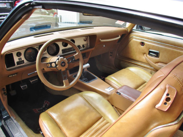 1979 Pontiac Trans Am - photo 11