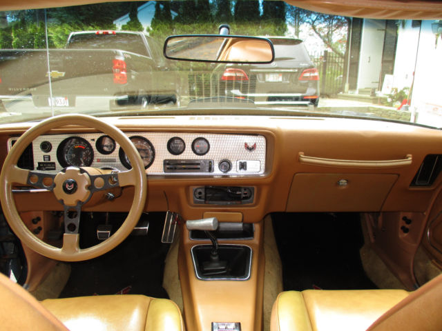 1979 Pontiac Trans Am - photo 12