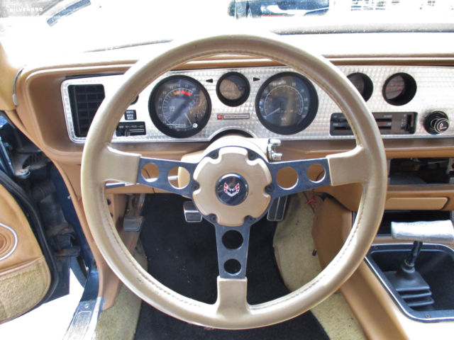 1979 Pontiac Trans Am - photo 13