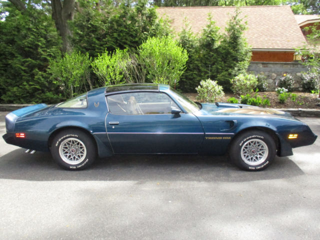1979 Pontiac Trans Am - photo 7