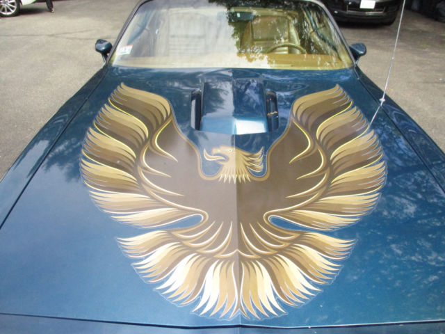 1979 Pontiac Trans Am - photo 9