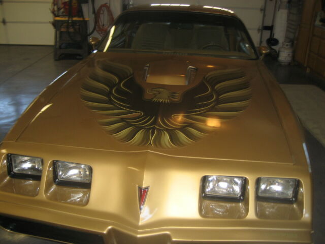1979 Pontiac Trans Am - photo 2