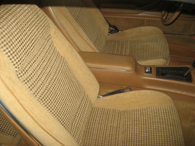 1979 Pontiac Trans Am - photo 4