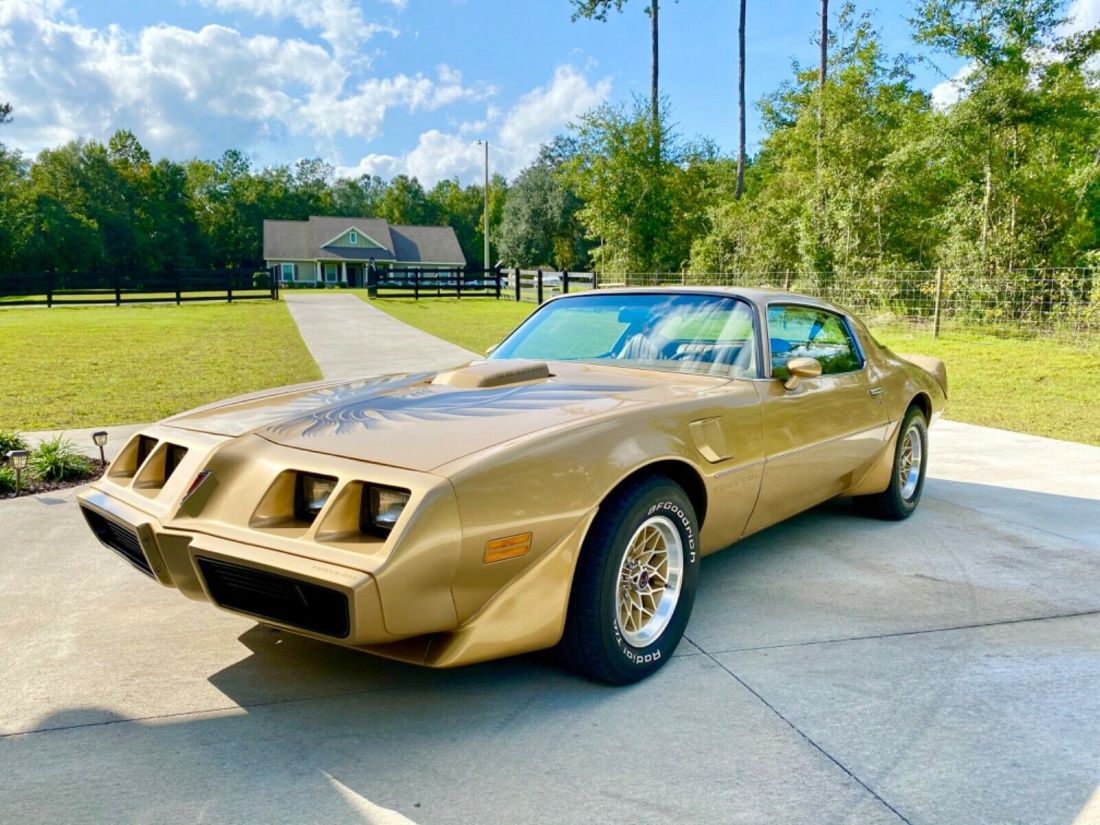 1979 Pontiac Trans Am “Survivor” 1979 Pontiac Trans Am