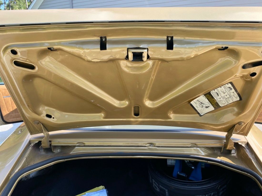 1979 Pontiac Trans Am - photo 11
