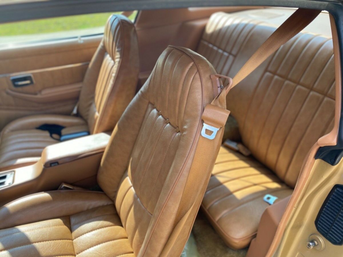 1979 Pontiac Trans Am - photo 4
