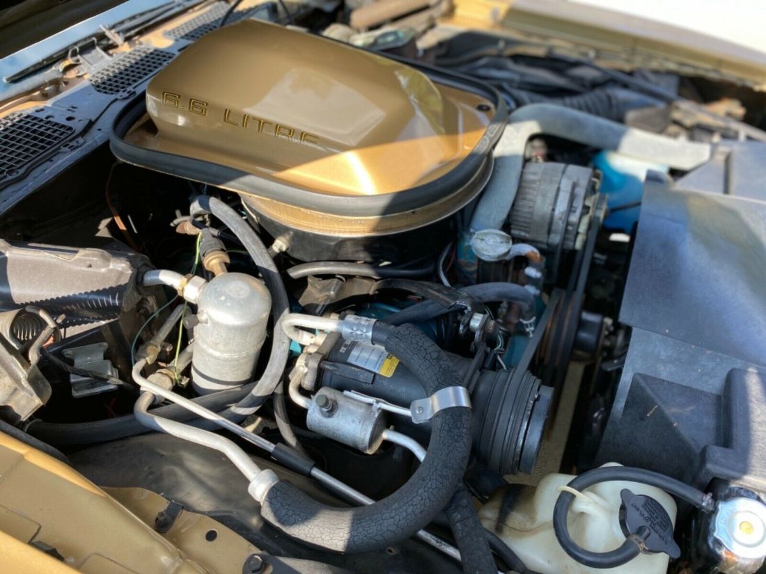 1979 Pontiac Trans Am - photo 9