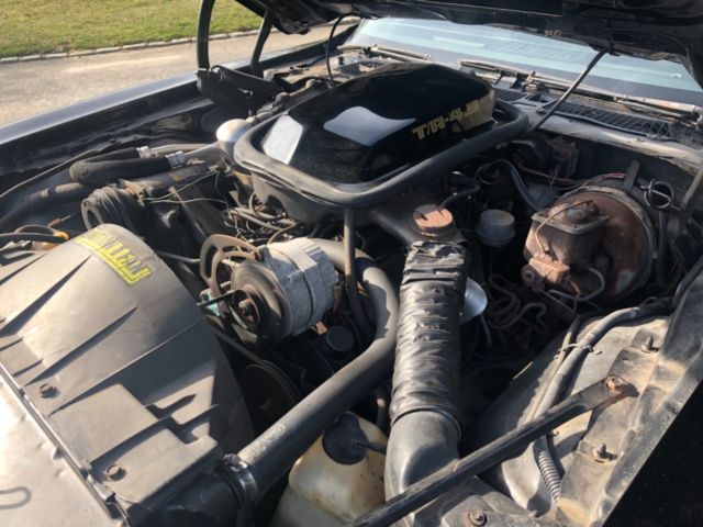 1979 Pontiac Trans Am - photo 11