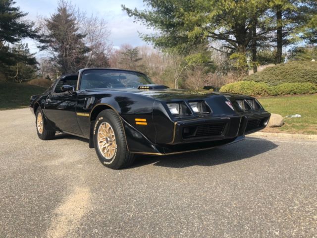 1979 Pontiac Trans Am - photo 2