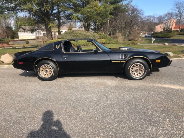 1979 Pontiac Trans Am - photo 3