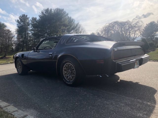1979 Pontiac Trans Am - photo 5