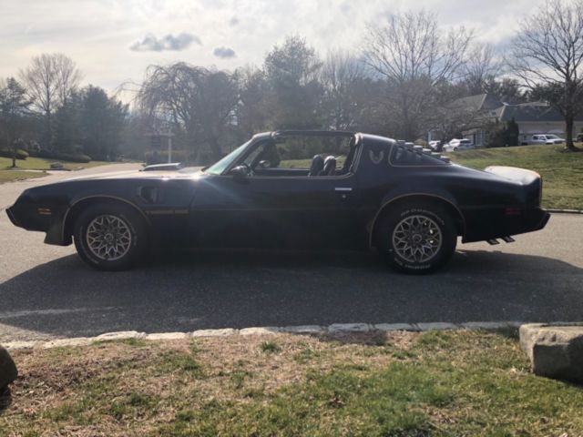 1979 Pontiac Trans Am - photo 6