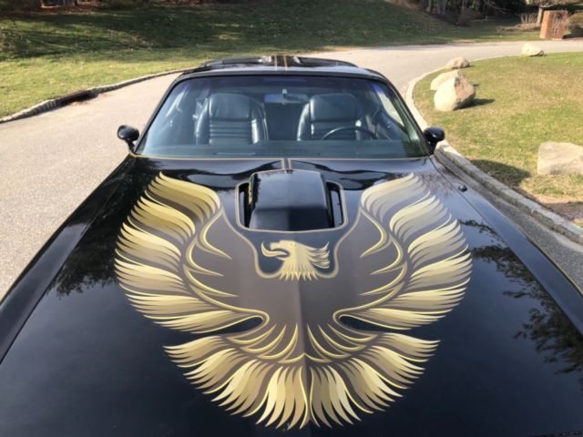 1979 Pontiac Trans Am - photo 9