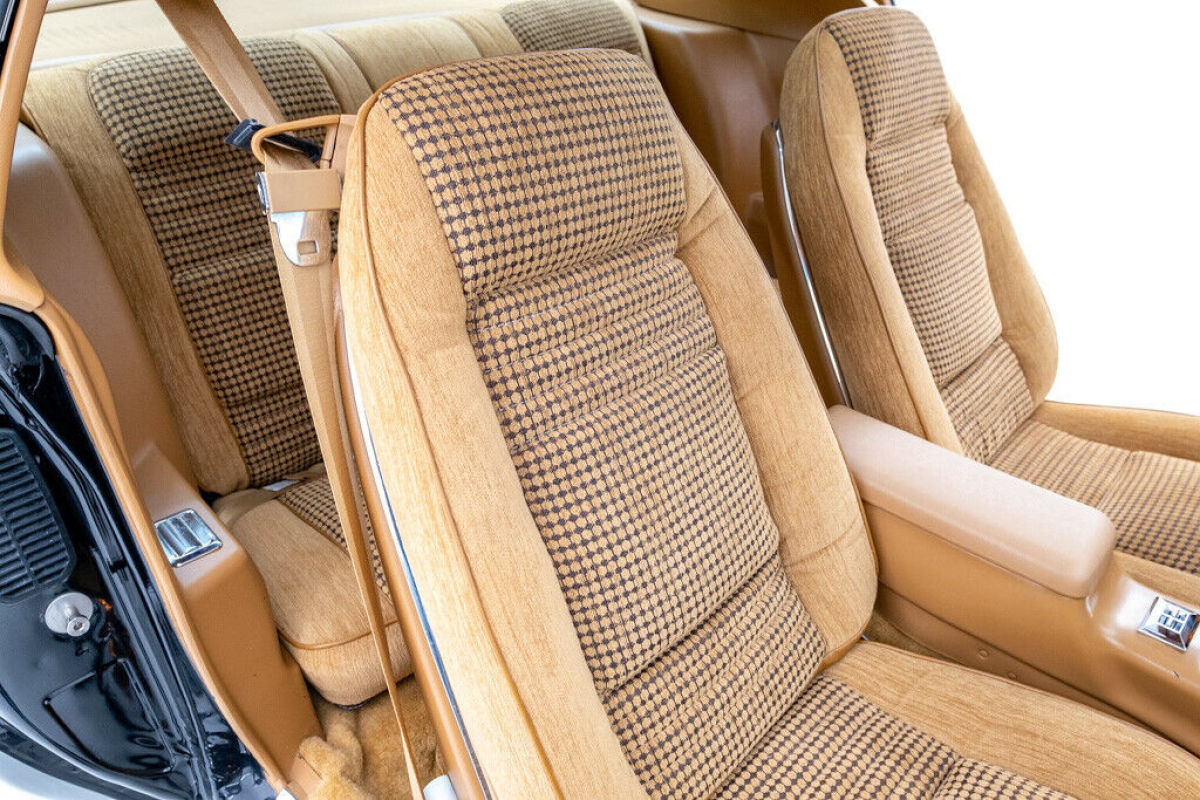 1979 Pontiac Trans Am T Top - photo 4