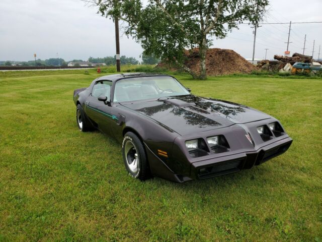 1979 Pontiac Trans Am T - TOPS - photo 2