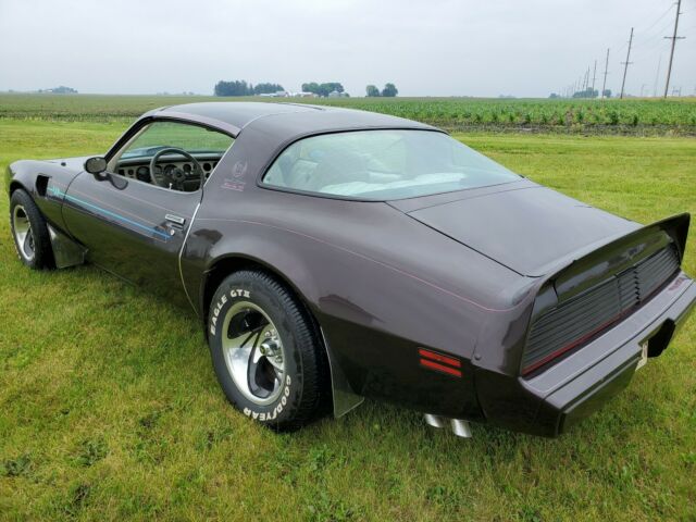 1979 Pontiac Trans Am T - TOPS - photo 4