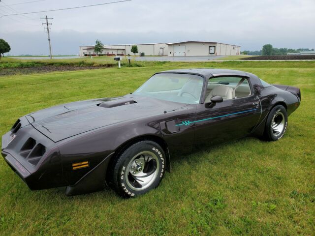 1979 Pontiac Trans Am T - TOPS - photo 6
