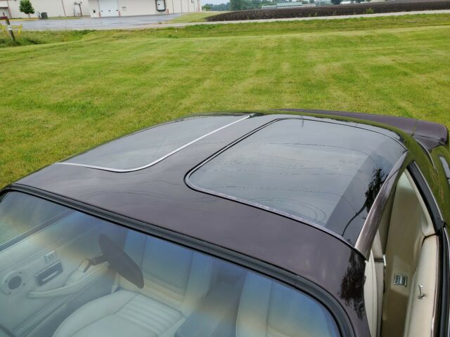 1979 Pontiac Trans Am T - TOPS - photo 7