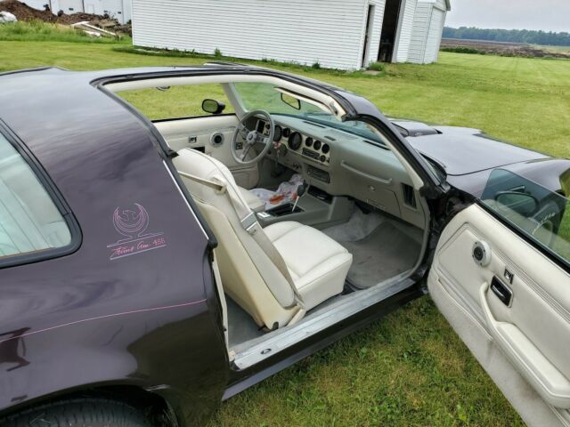 1979 Pontiac Trans Am T - TOPS - photo 9
